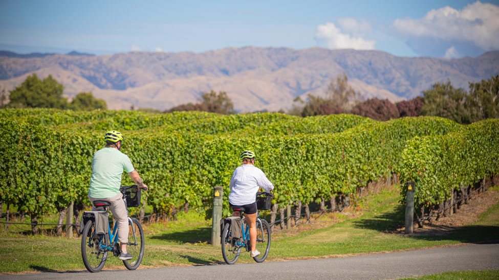 Within a 30-minute drive, visitors can take a ride through the renowned Marlborough wine region