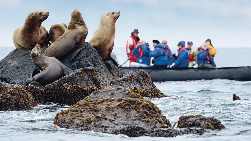 Hapag-Lloyd Cruises’ expedition guests expect unique excursions, such as being able to see seals up close in Antarctica