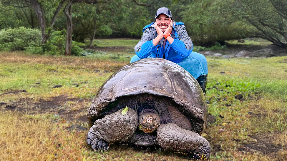 The Galápagos National Park Directorate began reintroducing the giant tortoise back to Floreana Island in 2024