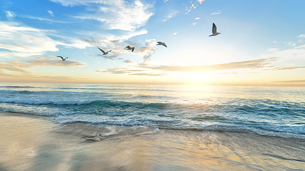 MedCruise launches study to evaluate contribution of cruise tourism