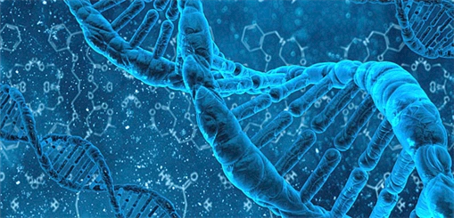 Ebolascreen from Martek