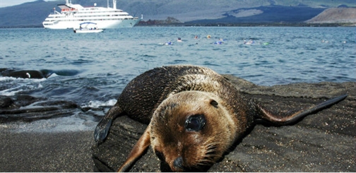  Galapagos Explorer II renamed  