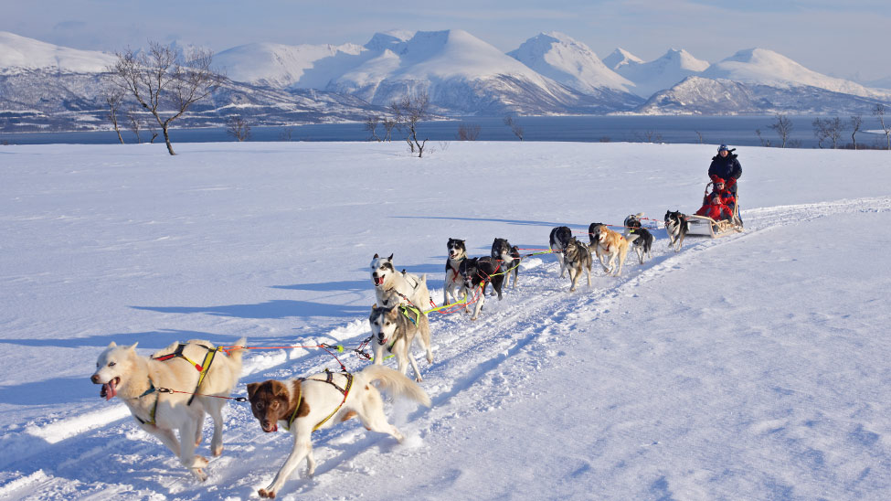 Cruise passengers Norway winter activities