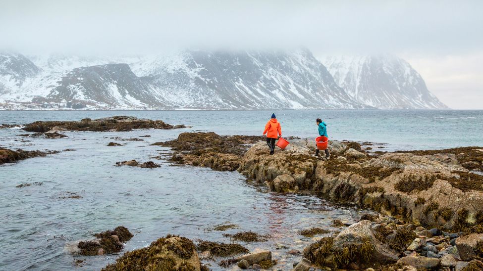 Hurtigruten culinary-themed itinerary