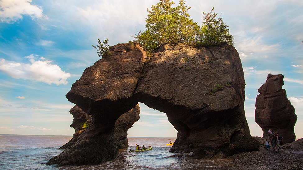 Hopewell Rocks Provincial Park