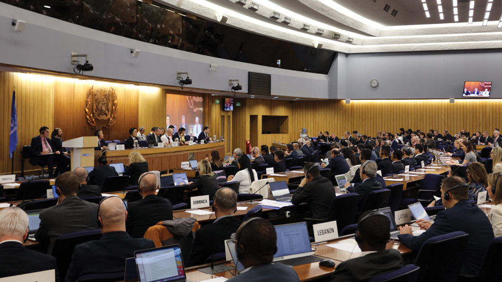  International Maritime Organization’s Sub-Committee on Human Element, Training and Watchkeeping