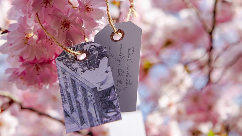 Wishing tree